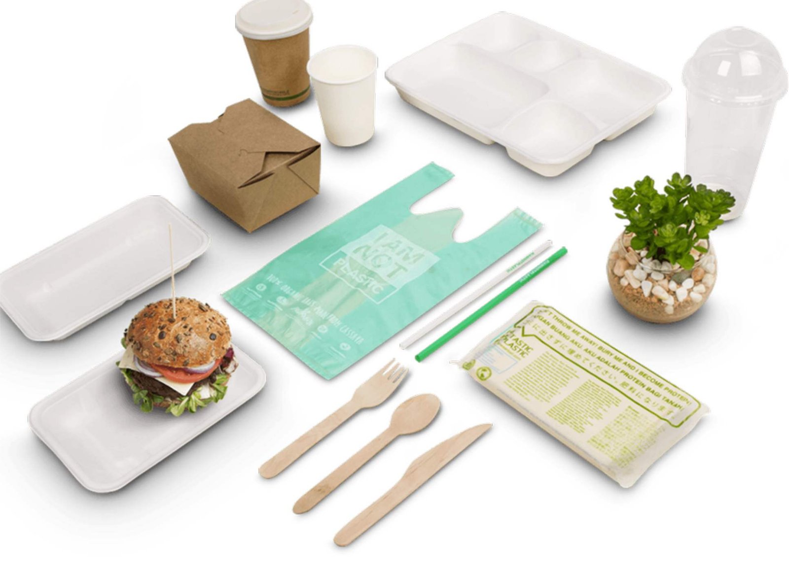 Disposable Tableware