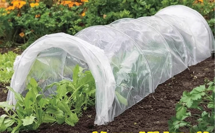Agricultural Greenhouse Film