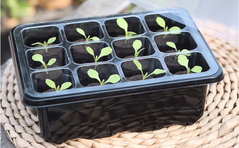 Seedling Pots