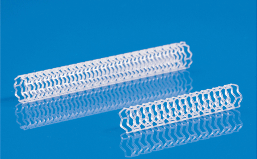 Fully Biodegradable Cardiac Stents